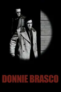 Poster to the movie "Donnie Brasco" #953822