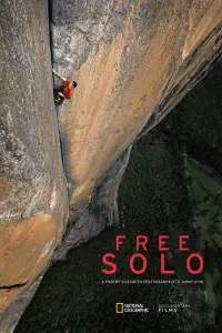 Poster to the movie "Free Solo" #957917