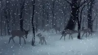 Backdrop to the movie "Bambi" #777436