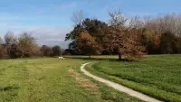 Backdrop to the movie "Running Fields II" #634674