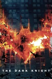 Poster to the movie "The Dark Knight" #900186