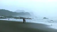 Backdrop to the movie "Dust in the Wind" #731150