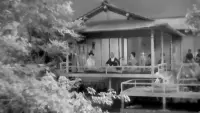 Backdrop to the movie "Miss Oyu" #720468