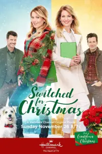 Poster to the movie "Switched for Christmas" #980118