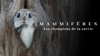 Backdrop to the movie "Mammifères, les champions de la survie" #754197