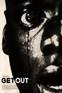 Poster to the movie "Get Out" #754439