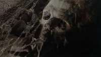 Backdrop to the movie "Web of the Spider" #806869