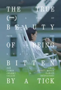 Poster to the movie "The True Beauty of Being Bitten by a Tick" #711169