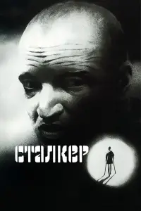 Poster to the movie "Stalker" #984630