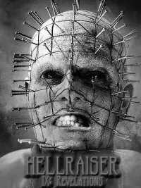 Poster to the movie "Hellraiser: Revelations" #797869