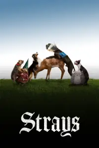 Poster to the movie "Strays" #958828