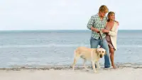 Backdrop to the movie "Marley & Me" #756497