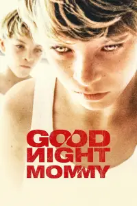 Poster to the movie "Goodnight Mommy" #971347