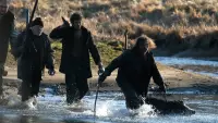 Backdrop to the movie "Calvaire" #683964