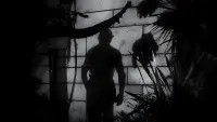 Backdrop to the movie "Island of Lost Souls" #814593
