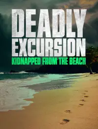Poster to the movie "Deadly Excursion: Kidnapped from the Beach" #1209496