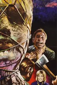 Poster to the movie "Asylum" #1175051