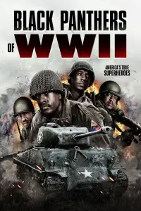 Poster to the movie "Black Panthers of WWII" #1024544