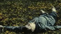 Backdrop to the movie "Dandelions