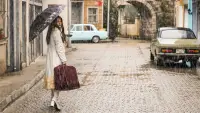 Backdrop to the movie "Sevda Mecburi İstikamet" #718654