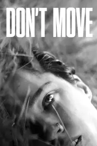 Poster to the movie "Don