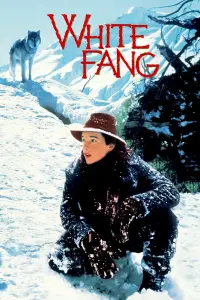 Poster to the movie "White Fang" #1089023
