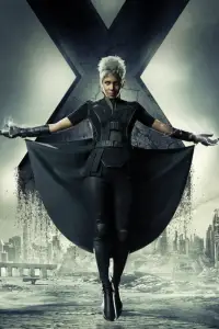 Poster to the movie "X-Men: Days of Future Past" #1062036