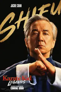 Poster to the movie "Untitled Karate Kid Movie" #901309