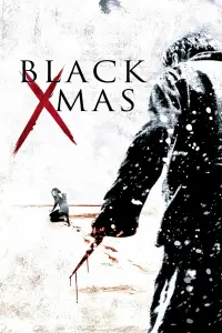 Poster to the movie "Black Christmas" #968737