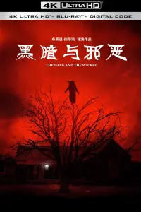 Poster to the movie "The Dark and the Wicked" #705846
