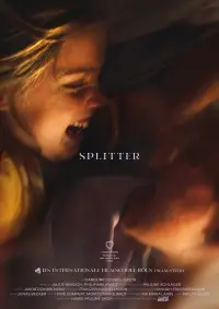 Poster to the movie "Splitter" #557421