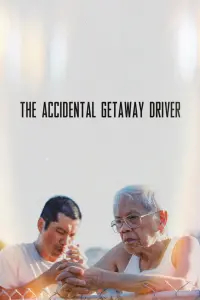 Poster to the movie "The Accidental Getaway Driver" #700349