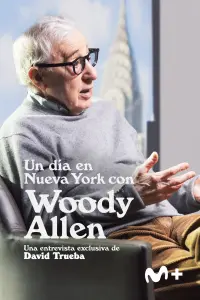 Poster to the movie "Un día en Nueva York con Woody Allen" #368996