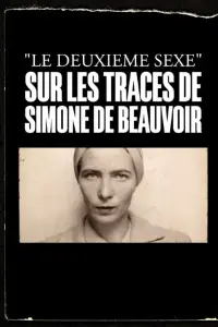 Poster to the movie "Looking for Simone" #889779