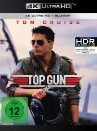 Poster to the movie "Top Gun" #580559