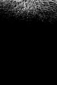 Poster to the movie "For When I Think, There is This Heaviness That I Would Rather You Not Carry" #1197921