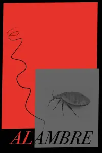 Poster to the movie "ALAMBRE" #701551