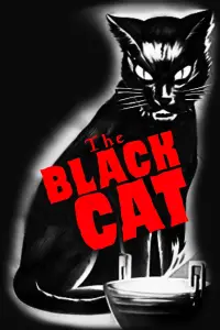 Poster to the movie "The Black Cat" #979713
