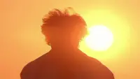 Backdrop to the movie "Thalapathi" #782735