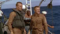 Backdrop to the movie "The Caine Mutiny" #236735