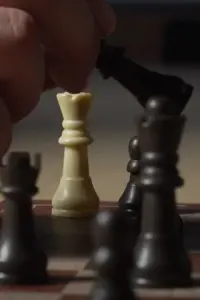 Poster to the movie "Chess Game" #199807