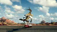 Backdrop to the movie "Coyote vs. Acme" #1090487