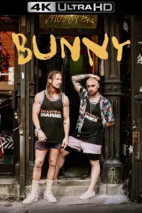 Poster to the movie "Bunny" #643770