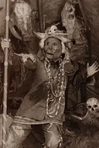 Poster to the movie "The Death Mask" #1223598