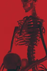 Poster to the movie "Bone Lake" #854932