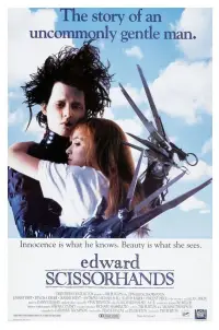 Poster to the movie "Edward Scissorhands" #619921