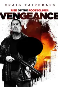 Poster to the movie "Rise of the Footsoldier: Vengeance" #956524