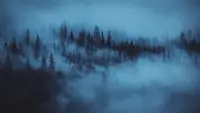 Backdrop to the movie "Anxiety" #454436