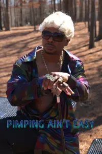 Poster to the movie "Pimpin Ain