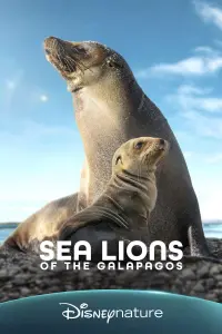 Poster to the movie "Sea Lions of the Galapagos" #785362